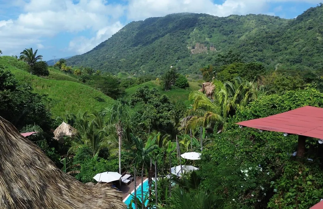 The Valley Tayrona Hostel- A Social Jungle Hostel-1